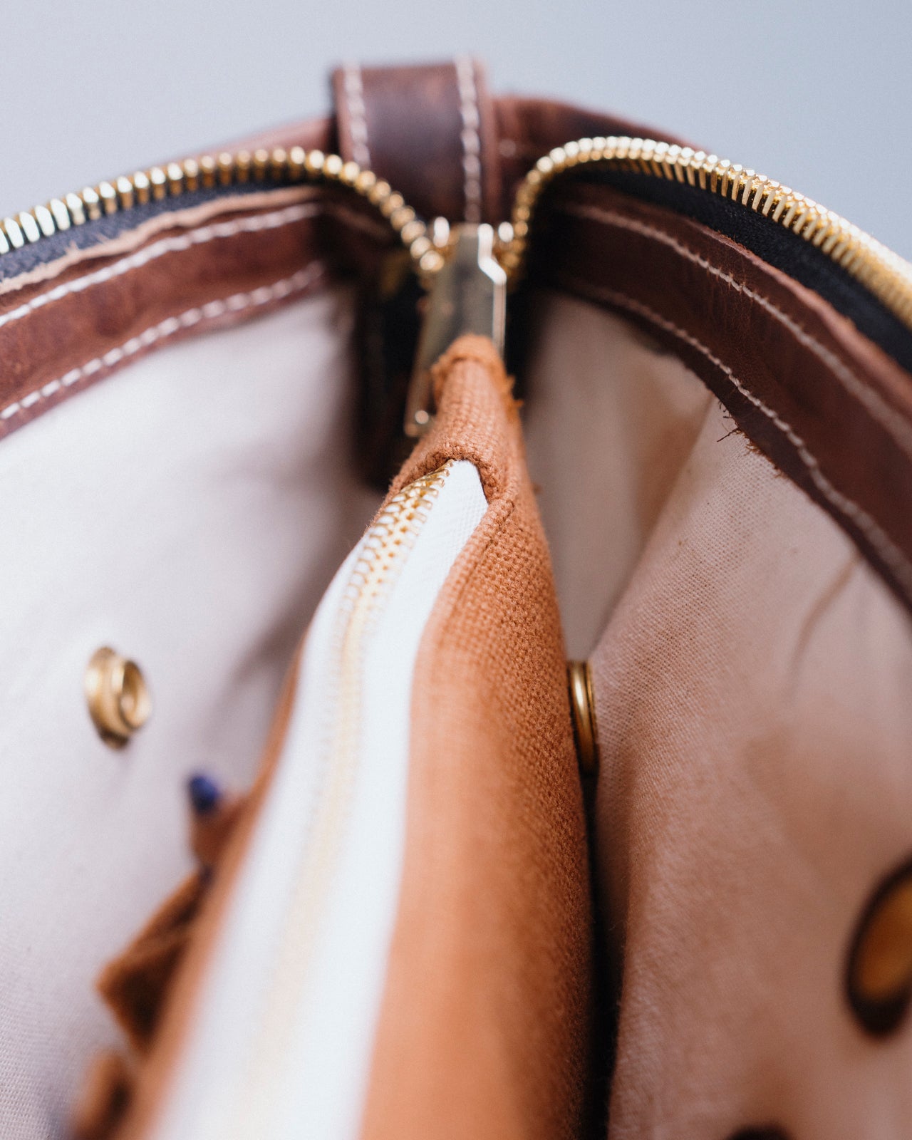 Standard Bag Organizer